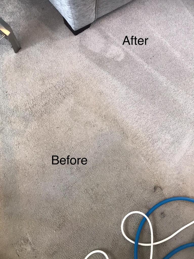 carpet cleaning and stain removal near me
