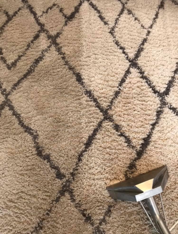 carpet upholstery clean